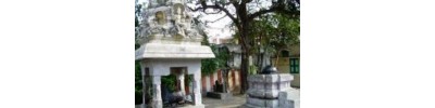 238. திருக்கச்சிமேற்றளி